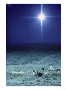 131218shepherds-watch-their-flocks-under-the-light-from-a-distant-star-near-bethlehem-israel-posters1 131218shepherds-watch-their-flocks-under-the-light-from-a-distant-star-near-bethlehem-israel-posters1