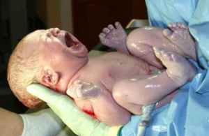 human_infant_newborn_baby human_infant_newborn_baby