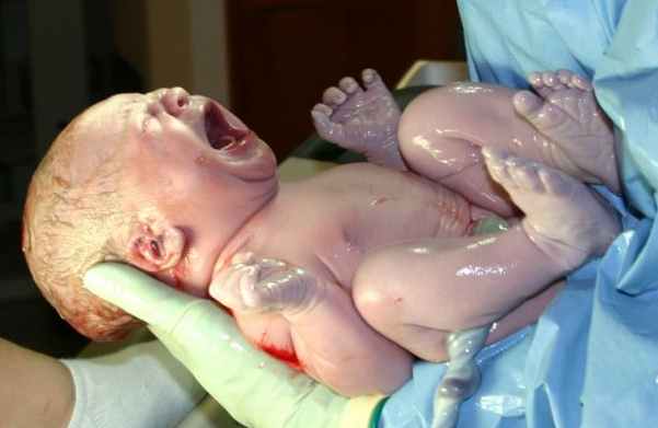 human_infant_newborn_baby