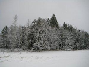 n148300158_30427955_2534 n148300158_30427955_2534