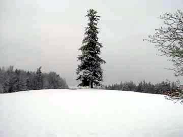 snowy_hill1
