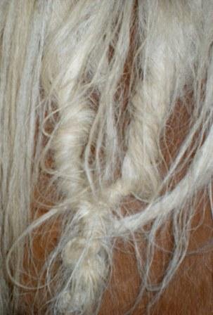 n707166118_2259849_2297