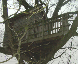 n707166118_2668040_18841