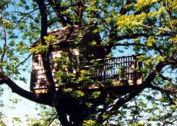 n707166118_2668041_9207