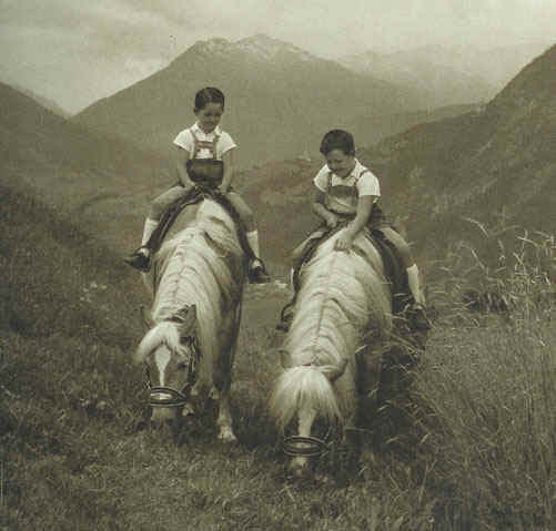 schweisgut1 schweisgut1