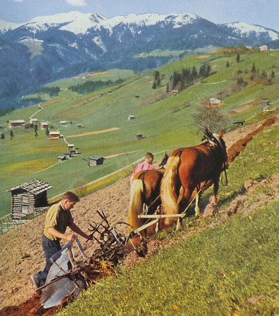 schweisgut2 schweisgut2