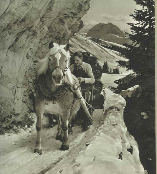 schweisgut5 schweisgut5