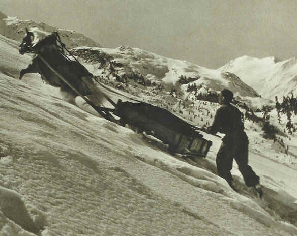 scweisgut4 scweisgut4