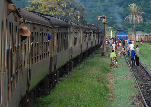 1392777855_c20b88c3a4