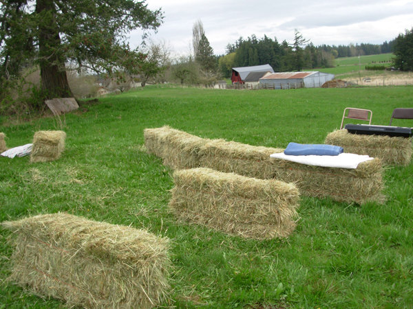 n148300158_30161398_79231 n148300158_30161398_79231