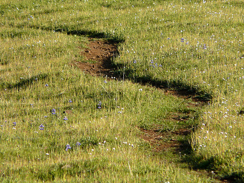 2389492877_ea94e6ba73