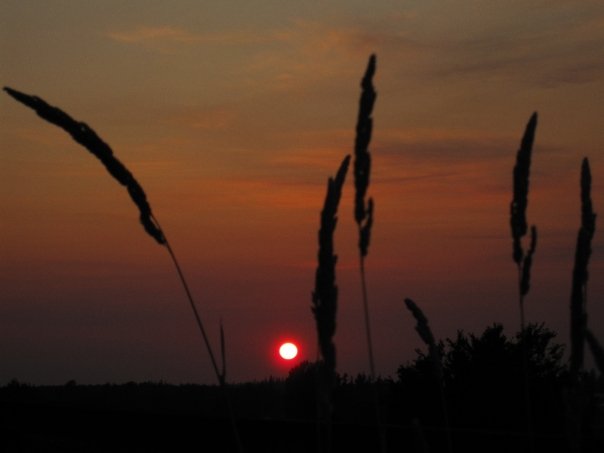 Red Sunset photo by Nate Gibson