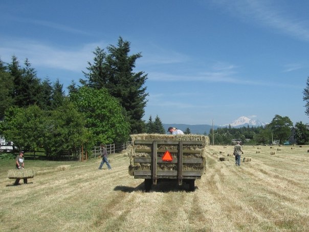 6651_512624395924_148300158_30510730_6814861_n