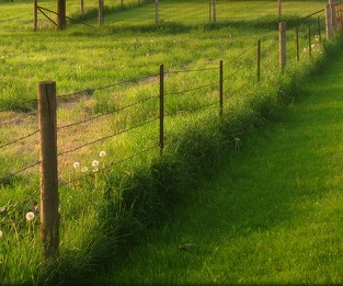 fence fence