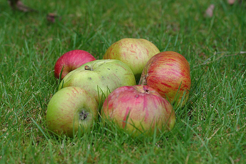 2887826765_58b298da6c 2887826765_58b298da6c