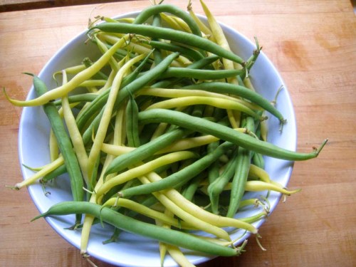 green+beans