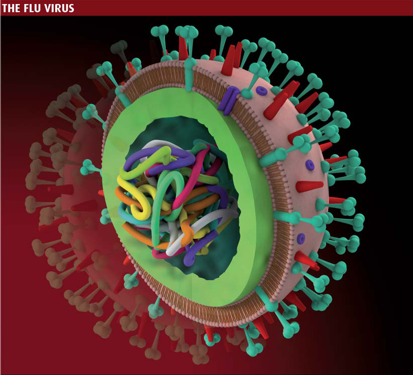 flu-virus