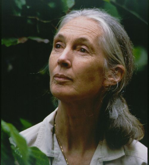 goodall-jane