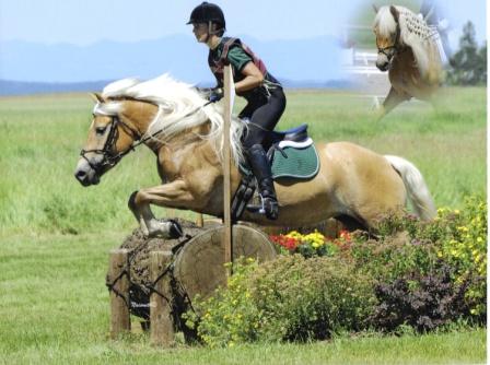 nuancemontage1 nuancemontage1