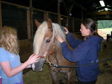 n877840461_230976_5414