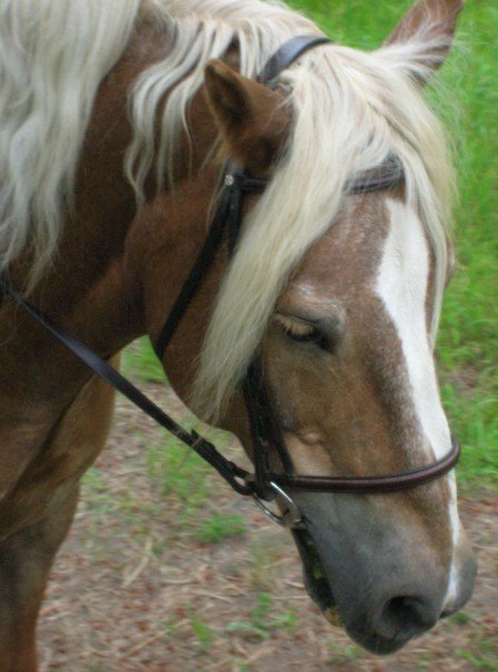 n877840461_734366_1615