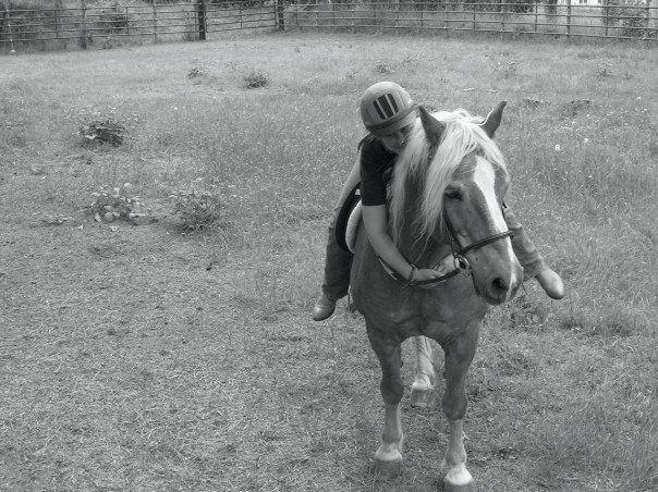 n877840461_734368_1713