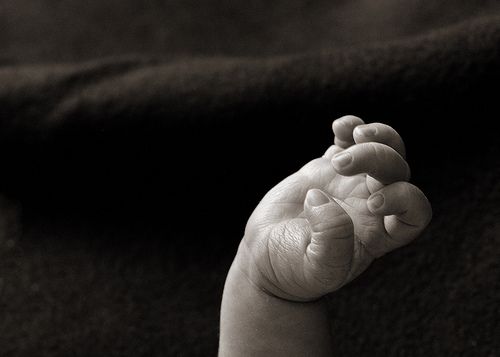 4140386049_6912919467