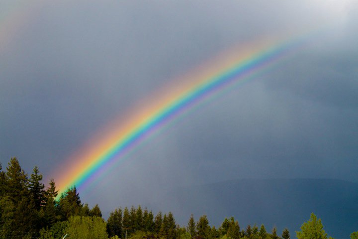 32269_1431271694087_1001700832_31267684_4770400_n