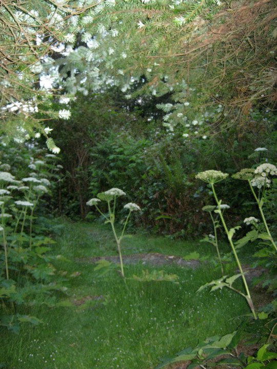 20849_1527426384757_1207615738_31520403_4604151_n