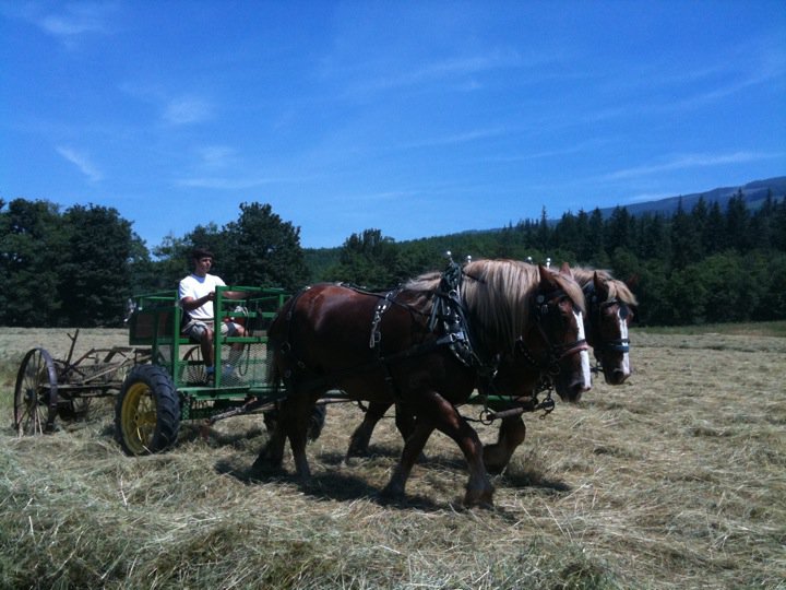 34454_139298952762993_100000486675546_332098_6147017_n