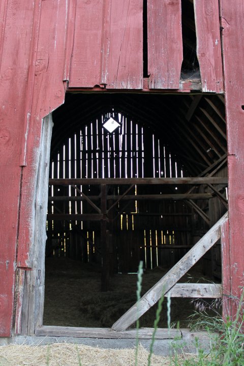 36938_517503902354_148300158_30686206_5100418_n