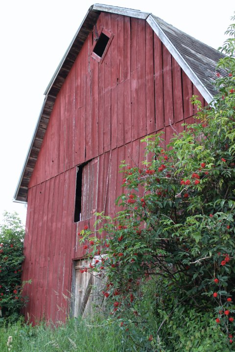 36938_517503932294_148300158_30686212_6221659_n