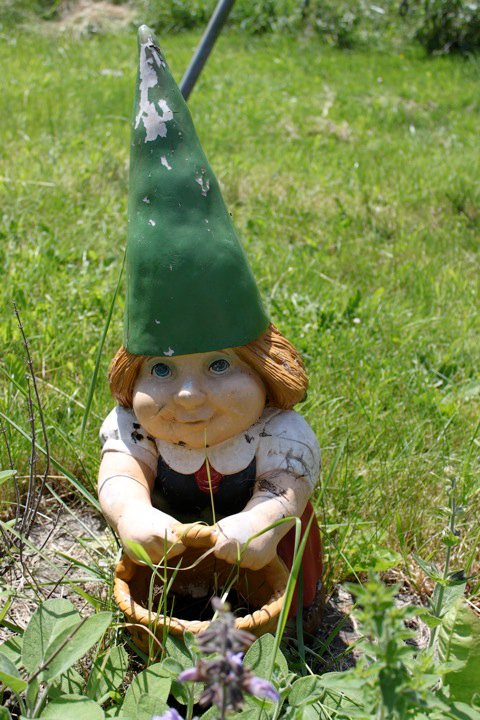 35798_517431911624_148300158_30683909_2716882_n