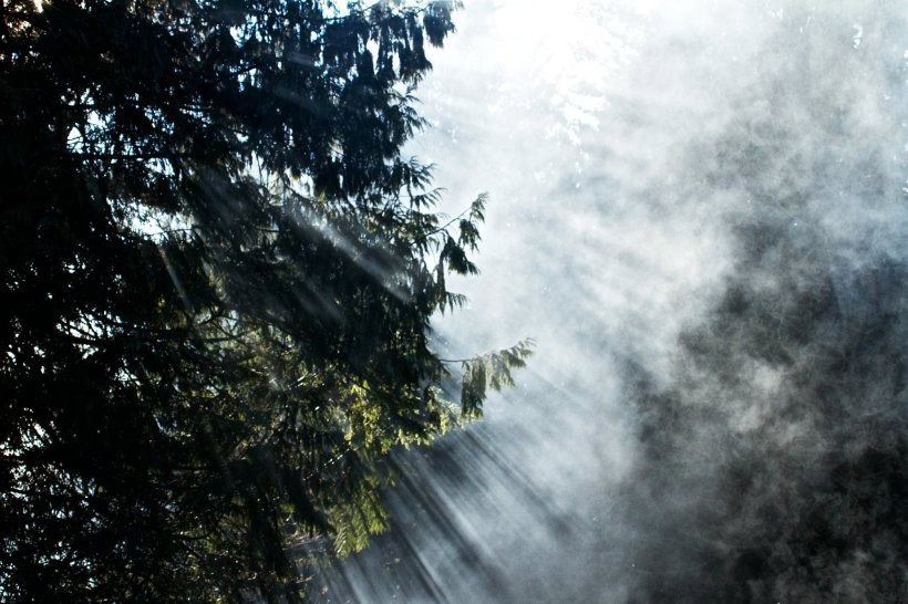 171802_1792411722362_1001700832_32066560_5143404_o