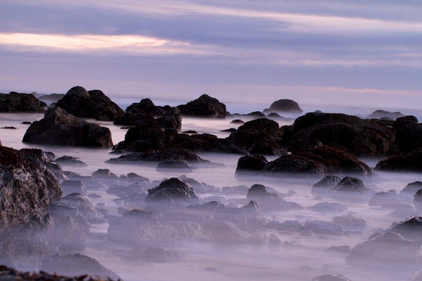 191986_1848227117712_1001700832_32156020_2148377_o