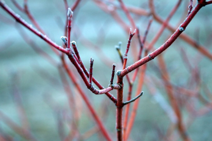 218310_1920481324022_1001700832_32229775_2139479_o