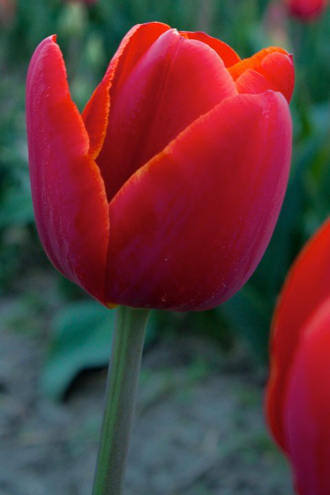 23527_1384536045725_1001700832_31154326_5773541_n