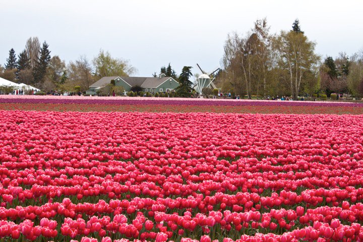 23527_1384536325732_1001700832_31154333_1612790_n