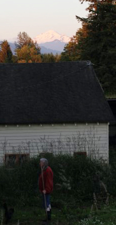 36938_517503982194_148300158_30686222_6737287_n