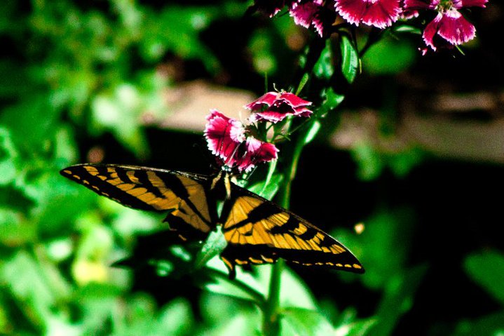 35069_1483113790107_1001700832_31412382_6059917_n