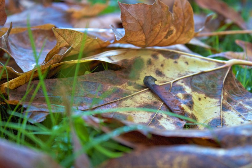 56172_1615331255461_1001700832_31733123_8363440_o