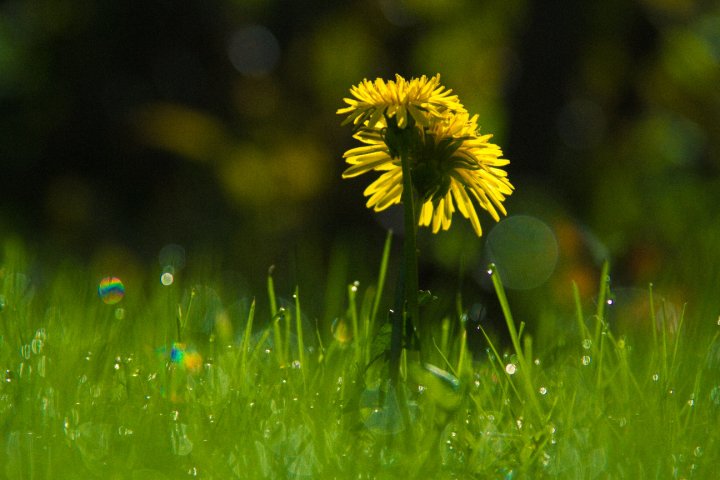 62298_1577867678895_1001700832_31657822_1500649_n