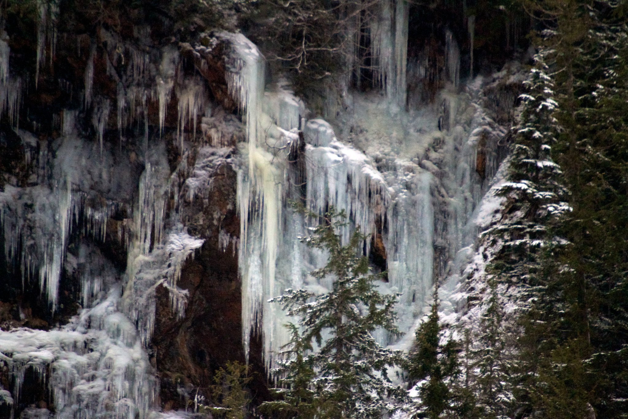 134548_1733592691923_1001700832_31954081_687152_o