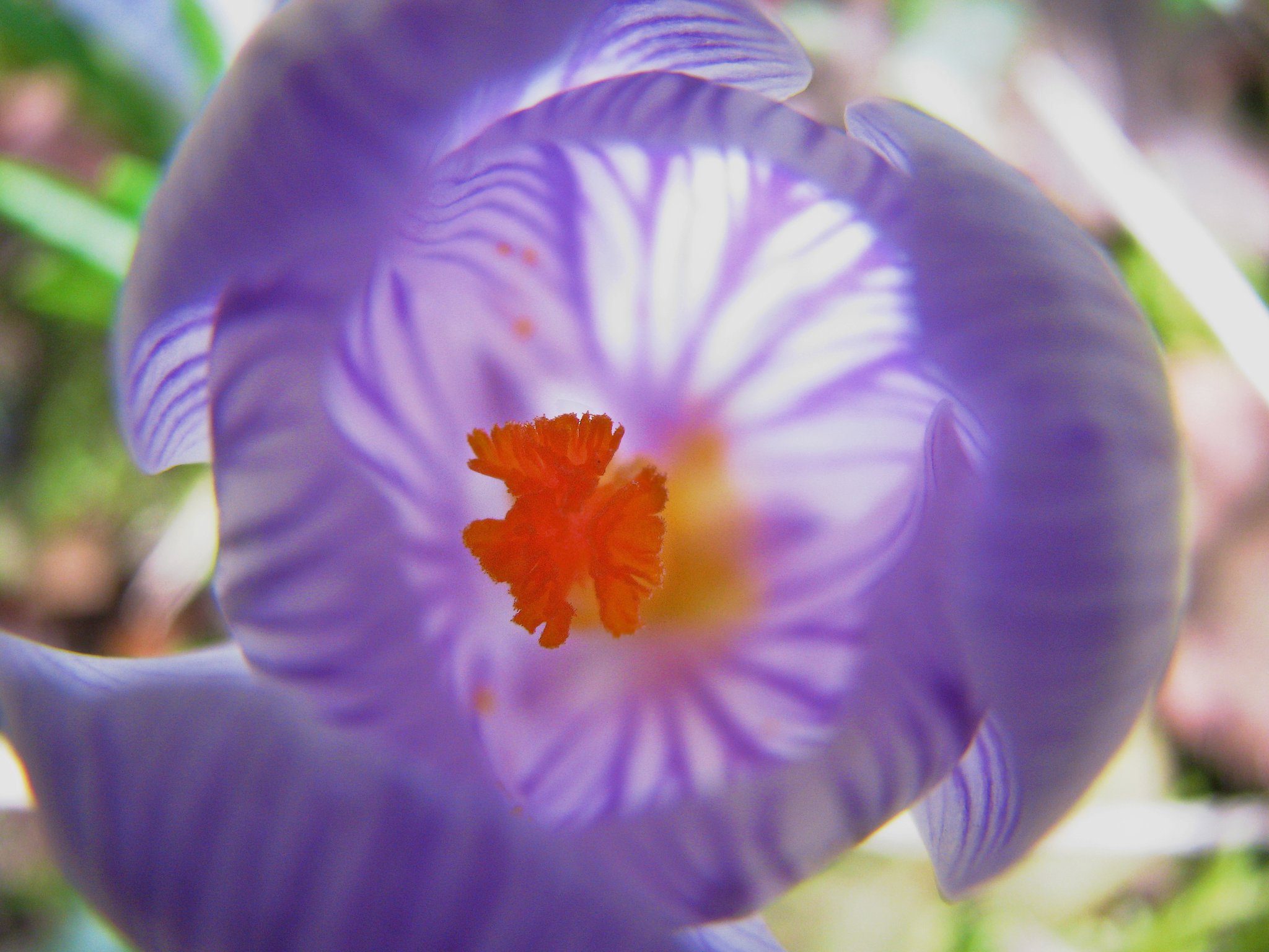 194540_1816708729772_1001700832_32106550_1682209_o-1