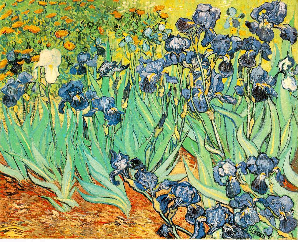 Van Gogh's Irises