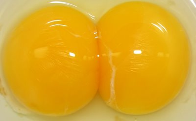 double+yolk+1
