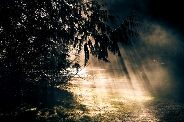 20263_1341874379210_1001700832_31047179_4661858_n