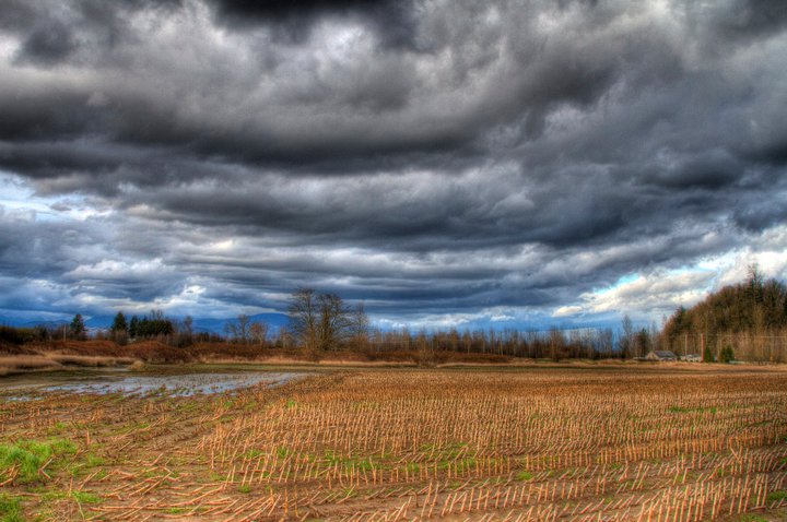 209002_1884494104364_1001700832_32178099_3463451_n