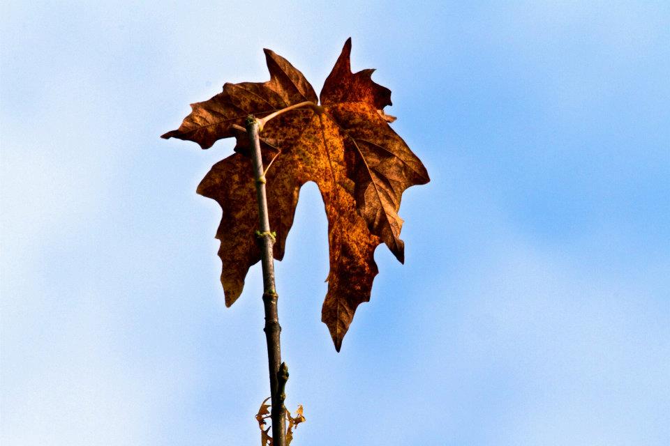 293326_2434615617058_1001700832_32792670_1824040690_n