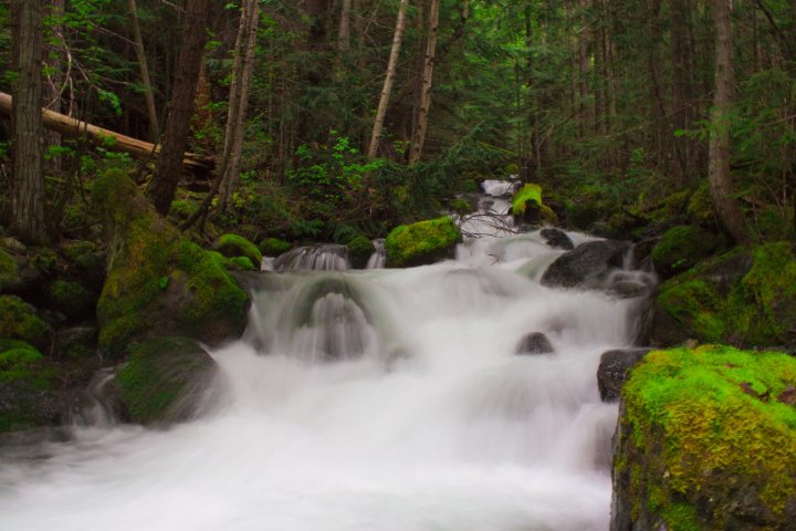 34056_1467038308230_1001700832_31369756_4955577_n